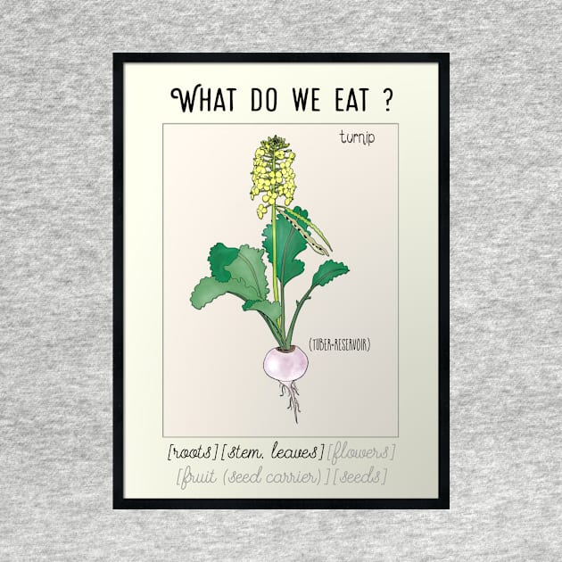 Turnip Kitchen poster what do we eat by GribouilleTherapie